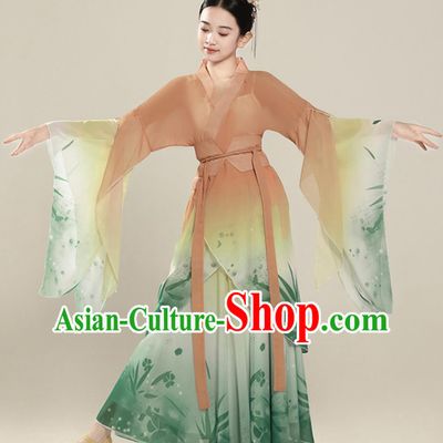 Classical Dance Performance Costume Elegant Chinese Ancient Style Wide Sleeve Dance Chiffon Dress
