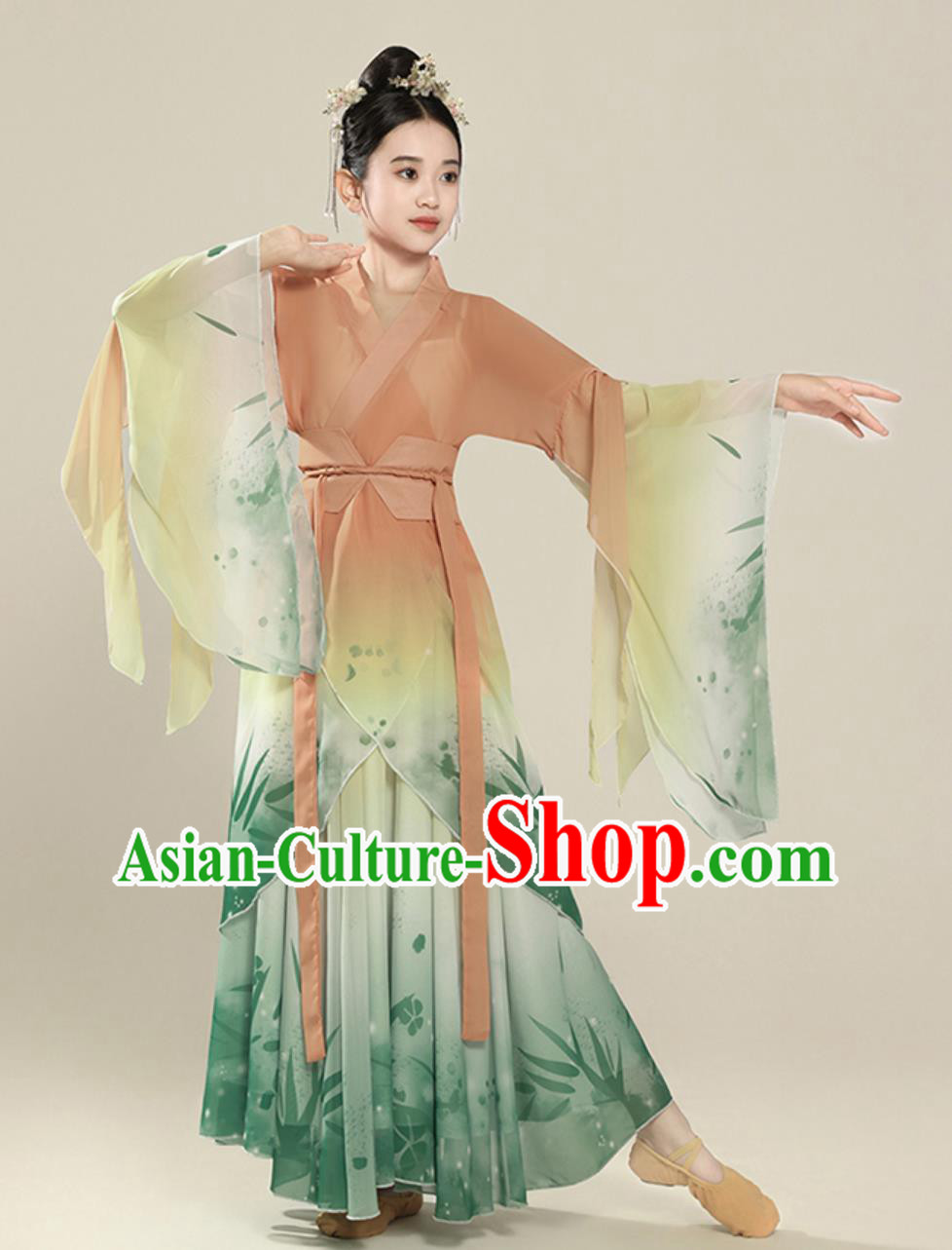 Classical Dance Performance Costume Elegant Chinese Ancient Style Wide Sleeve Dance Chiffon Dress Classical Dance Performance Costume Elegant Chinese Ancient Style Wide Sleeve Dance Chiffon Dress