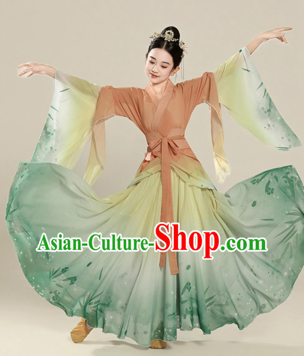 Classical Dance Performance Costume Elegant Chinese Ancient Style Wide Sleeve Dance Chiffon Dress Classical Dance Performance Costume Elegant Chinese Ancient Style Wide Sleeve Dance Chiffon Dress