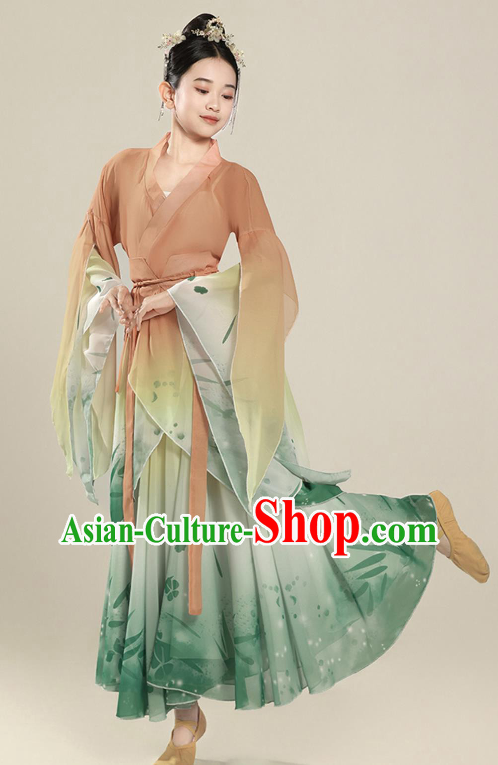 Classical Dance Performance Costume Elegant Chinese Ancient Style Wide Sleeve Dance Chiffon Dress Classical Dance Performance Costume Elegant Chinese Ancient Style Wide Sleeve Dance Chiffon Dress