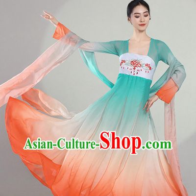 Classical Dance Performance Costume Women Elegant Chinese Style Chiffon Dress Dance Practice Wear Koi Fish Continuous Years Dance Costume