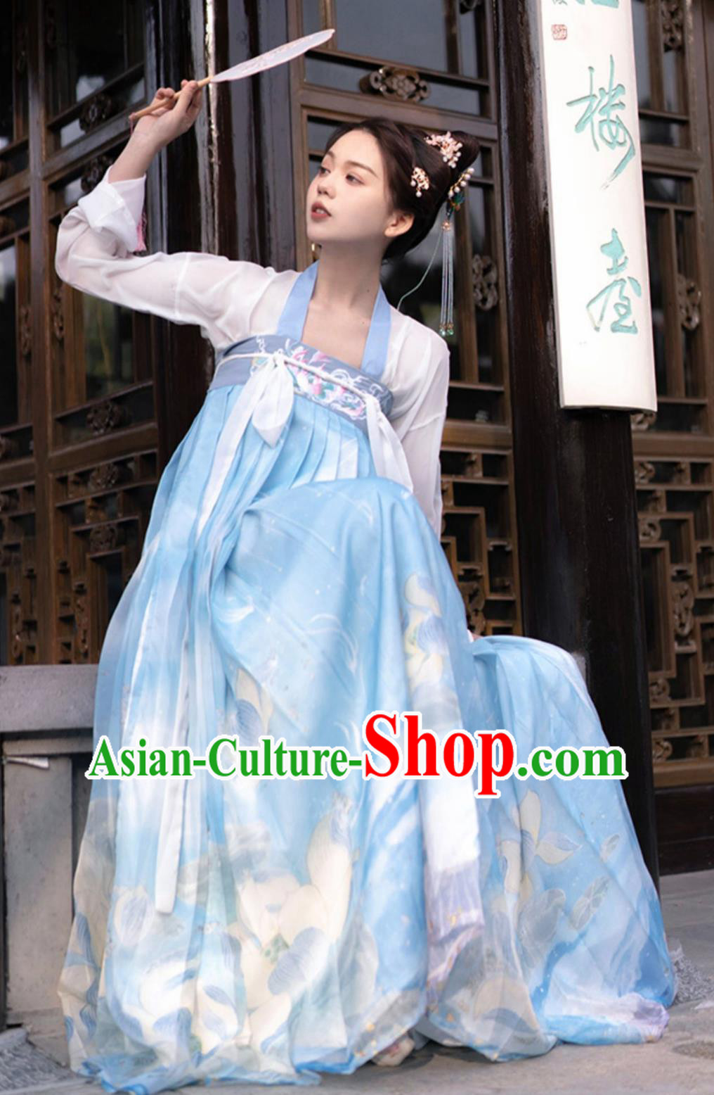 Chinese Tang Dynasty Hanfu Dress Traditional Women Ruqun Ancient China Clothing Chinese Tang Dynasty Hanfu Dress Traditional Women Ruqun Ancient China Clothing