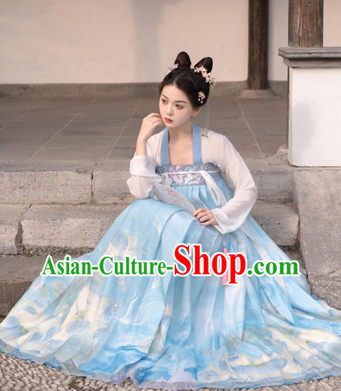 Chinese Tang Dynasty Hanfu Dress Traditional Women Ruqun Ancient China Clothing Chinese Tang Dynasty Hanfu Dress Traditional Women Ruqun Ancient China Clothing