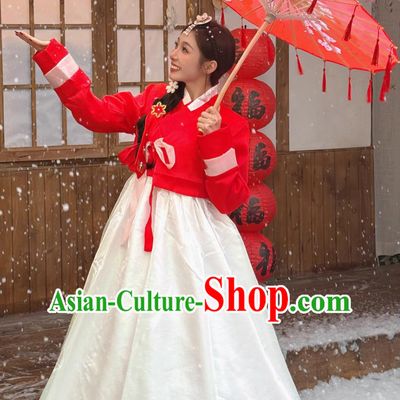 Yanji Princess Blouse and Dress Set Korean Hanbok Ancient Style Ethnic Attire