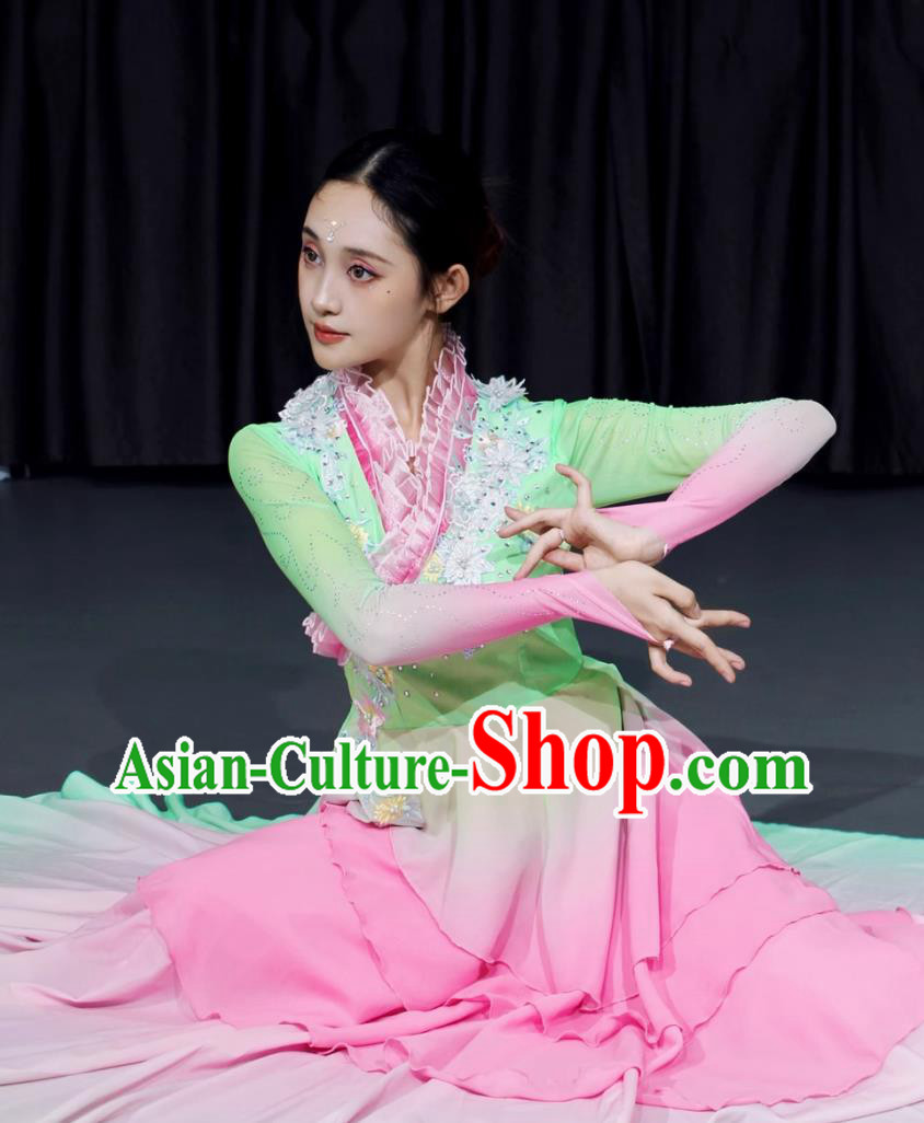 Chinese Han Tang Classical Dance Costume Solo Dance Art Exam Performance Outfit Chinese Han Tang Classical Dance Costume Solo Dance Art Exam Performance Outfit