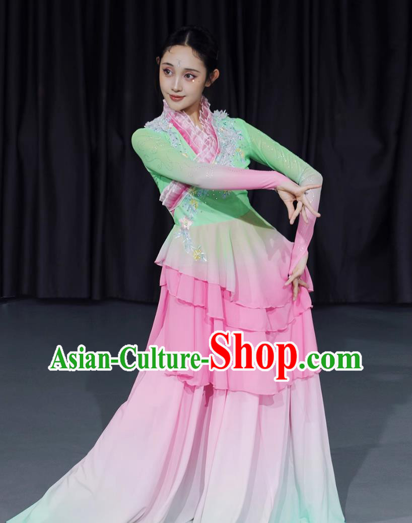 Chinese Han Tang Classical Dance Costume Solo Dance Art Exam Performance Outfit Chinese Han Tang Classical Dance Costume Solo Dance Art Exam Performance Outfit