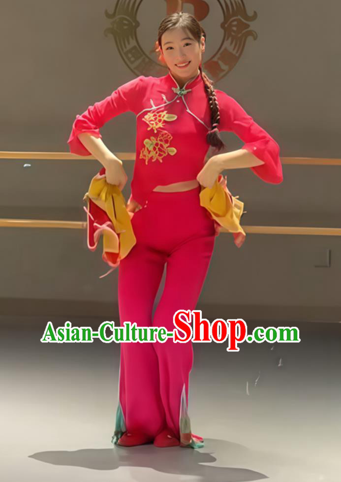 Chinese Festive Performance Clothing Yangko Dance Costume Fan Dance Outfit Chinese Festive Performance Clothing Yangko Dance Costume Fan Dance Outfit