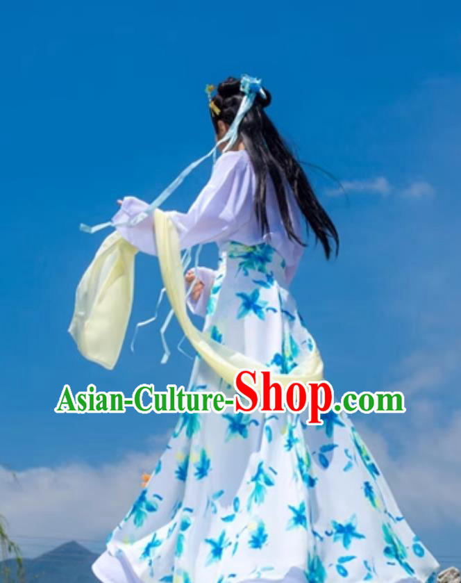 Chinese Song Dynasty Printed Chiffon Duijin Ruqun Traditional Hanfu Dress Chinese Song Dynasty Printed Chiffon Duijin Ruqun Traditional Hanfu Dress