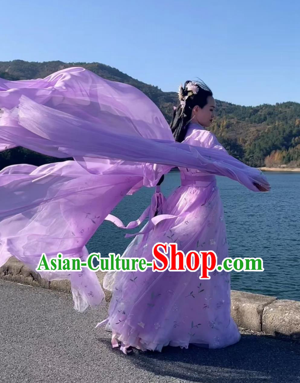 Traditional Wide Sleeve Hanfu Embroidered Purple Dress Ancient Chinese Fairy Clothing
