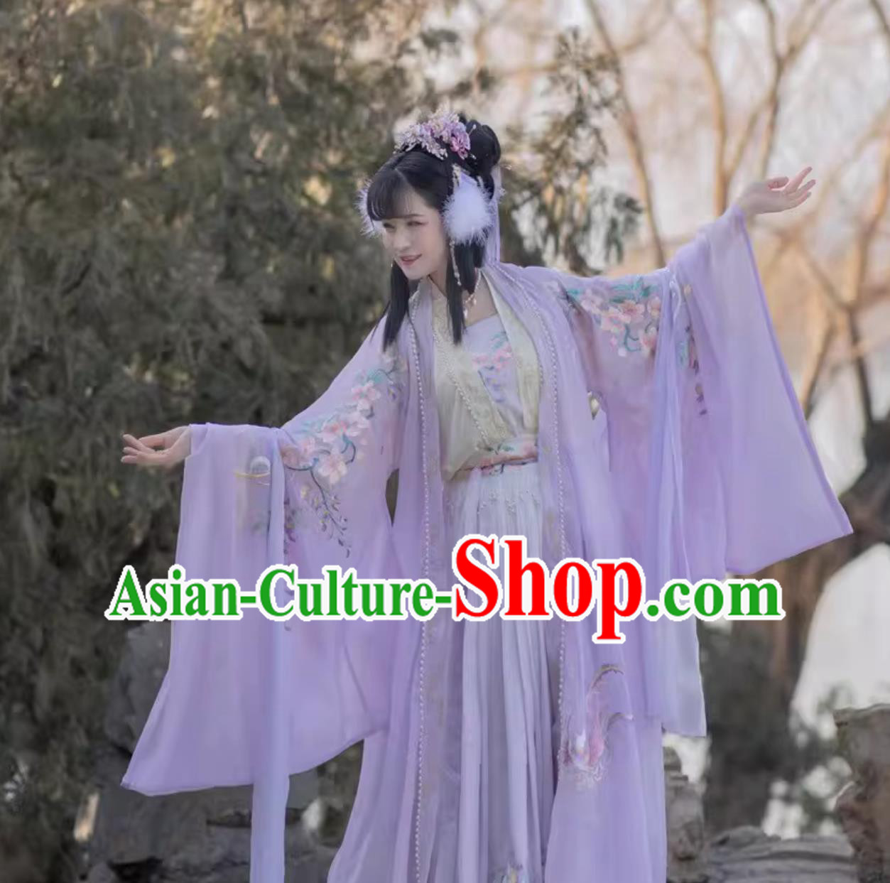 Phoenix Wisteria Embroidered Hanfu Dress Chinese Song Dynasty Ruqun Complete Set Phoenix Wisteria Embroidered Hanfu Dress Chinese Song Dynasty Ruqun Complete Set