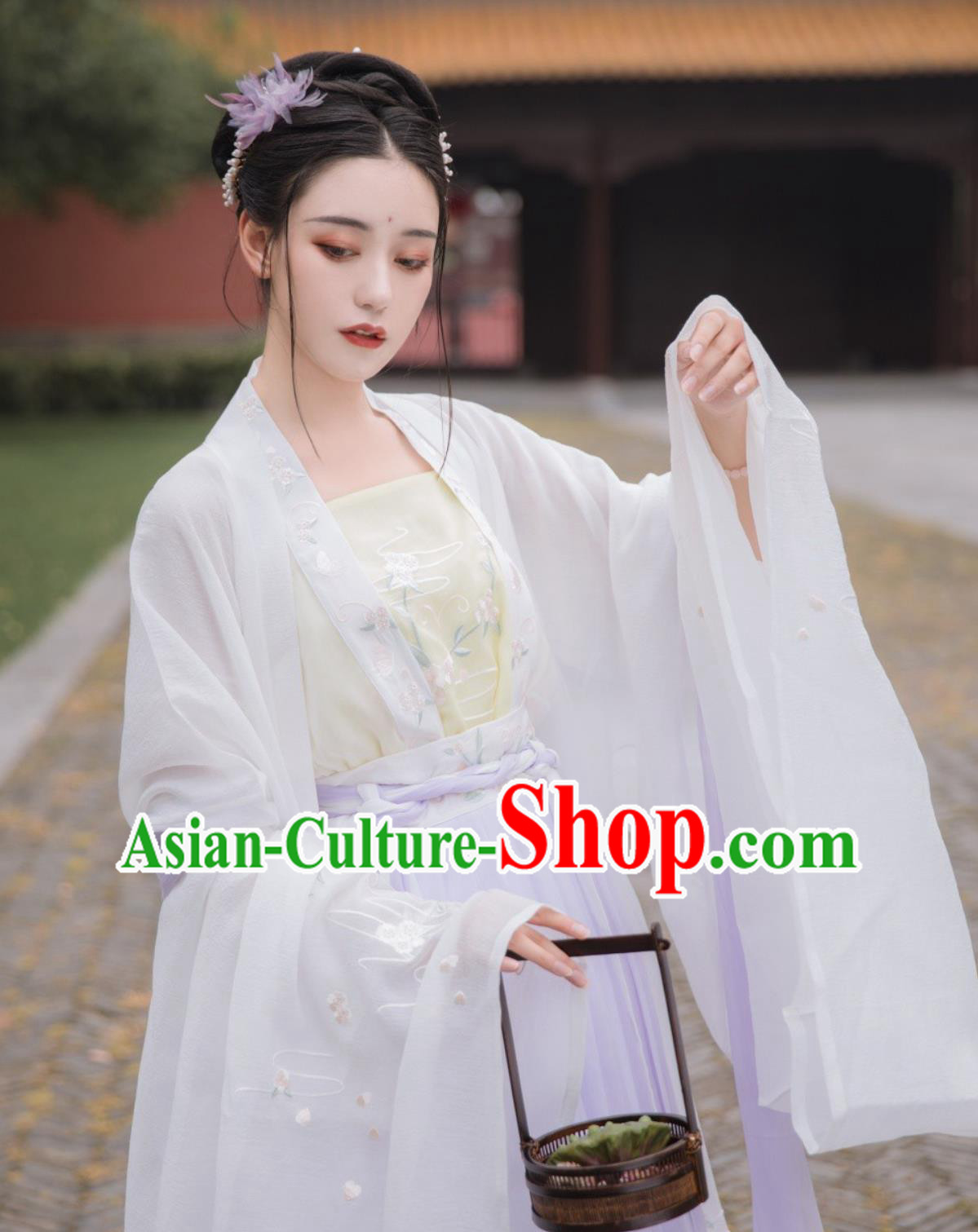 Chinese Hanfu Dress Tang Dynasty High Waist Ruqun Chinese Hanfu Dress Tang Dynasty High Waist Ruqun
