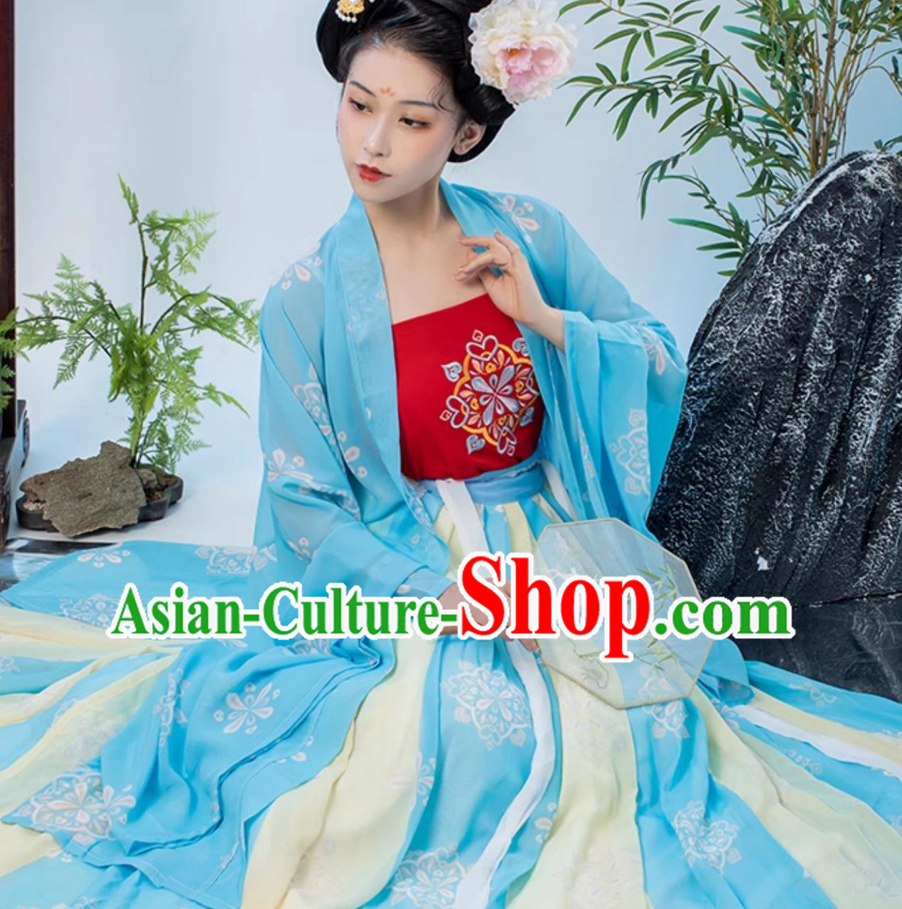 Chinese Style Hanfu Ancient Court Women Dress Tang Dynasty Hezi Qun