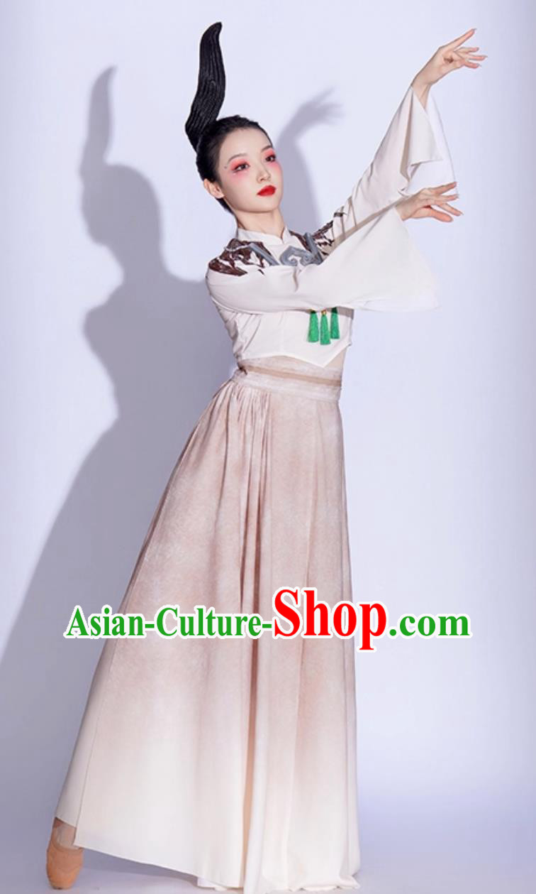 Chinese Classical Dance Costume Women Jade Bird Dance Attire Fan Dance Performance Dress Chinese Classical Dance Costume Women Jade Bird Dance Attire Fan Dance Performance Dress