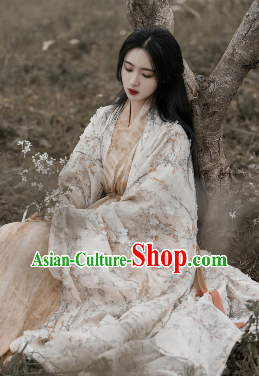 Chinese Hanfu Dress Embroidered Wide Sleeve Long Gown Traditional Straight Hem Robe Chinese Hanfu Dress Embroidered Wide Sleeve Long Gown Traditional Straight Hem Robe