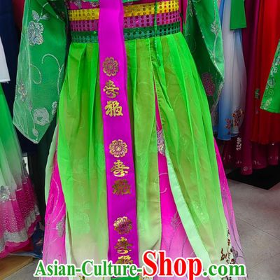 Chinese Classical Dance Costume Chaoxian Ethnic Folk Dance Hanbok Dress Korean Traditional Clothing
