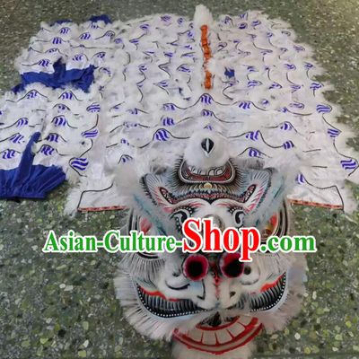 Dancing Lion Costume Handmade Zhao Yun Lion Head Traditional Chinese Lion Dance Prop for School Performances