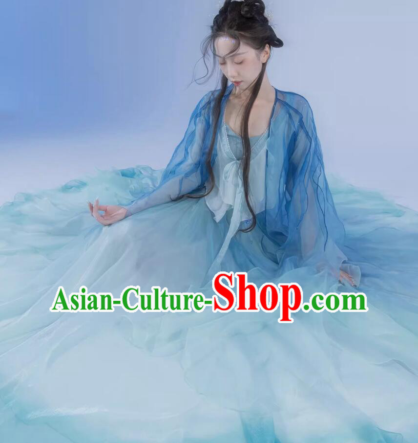 Chinese Classical Dance Costume Wide Sleeve Blue Hanfu Dress Chinese Classical Dance Costume Wide Sleeve Blue Hanfu Dress