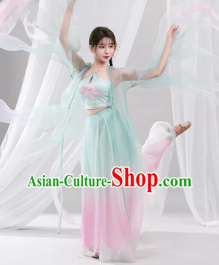 Chinese Classical Dance Costume Butterfly Wing Sleeves Hanfu Dress Chinese Classical Dance Costume Butterfly Wing Sleeves Hanfu Dress