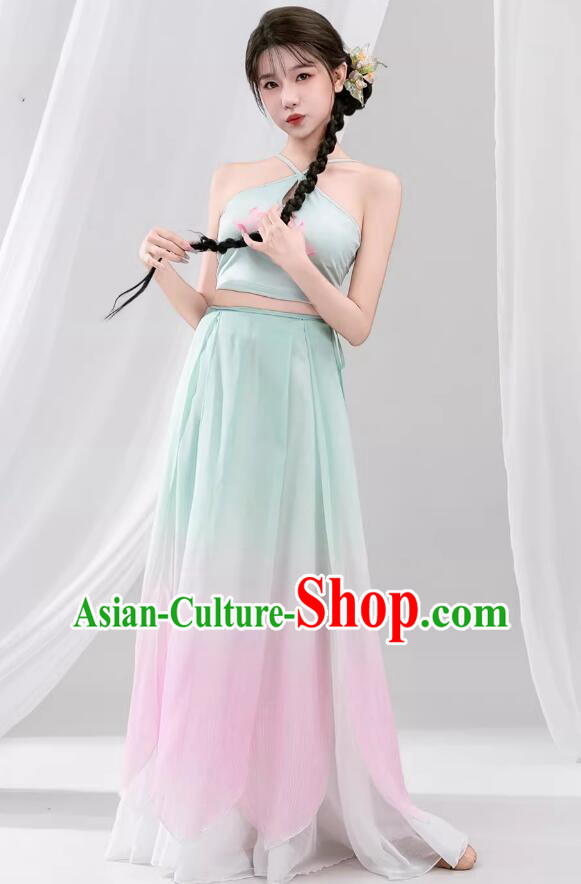 Chinese Classical Dance Costume Butterfly Wing Sleeves Hanfu Dress Chinese Classical Dance Costume Butterfly Wing Sleeves Hanfu Dress