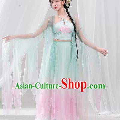 Chinese Classical Dance Costume Butterfly Wing Sleeves Hanfu Dress