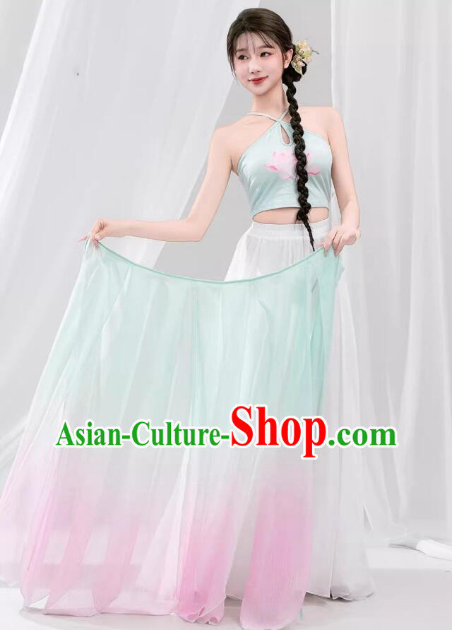 Chinese Classical Dance Costume Butterfly Wing Sleeves Hanfu Dress Chinese Classical Dance Costume Butterfly Wing Sleeves Hanfu Dress