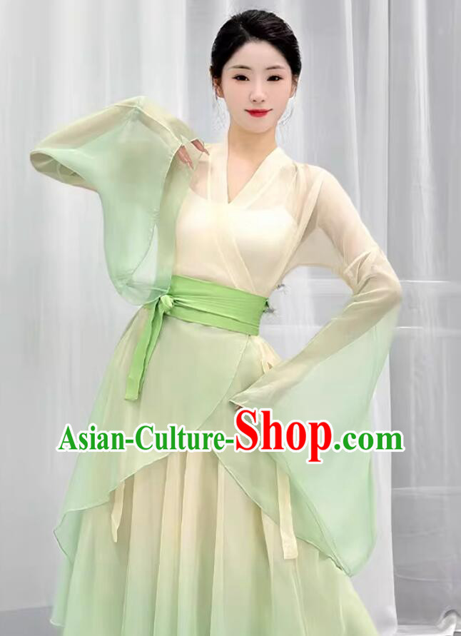 Wide Sleeve Hanfu Dress Woman Solo Dance Clothing Chinese Classical Dance Costume Wide Sleeve Hanfu Dress Woman Solo Dance Clothing Chinese Classical Dance Costume