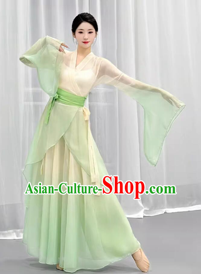 Wide Sleeve Hanfu Dress Woman Solo Dance Clothing Chinese Classical Dance Costume Wide Sleeve Hanfu Dress Woman Solo Dance Clothing Chinese Classical Dance Costume