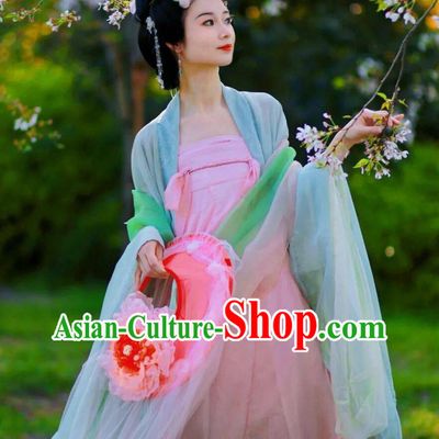 Traditional Hanfu Dress Chinese Tang Dynasty Princess Costume