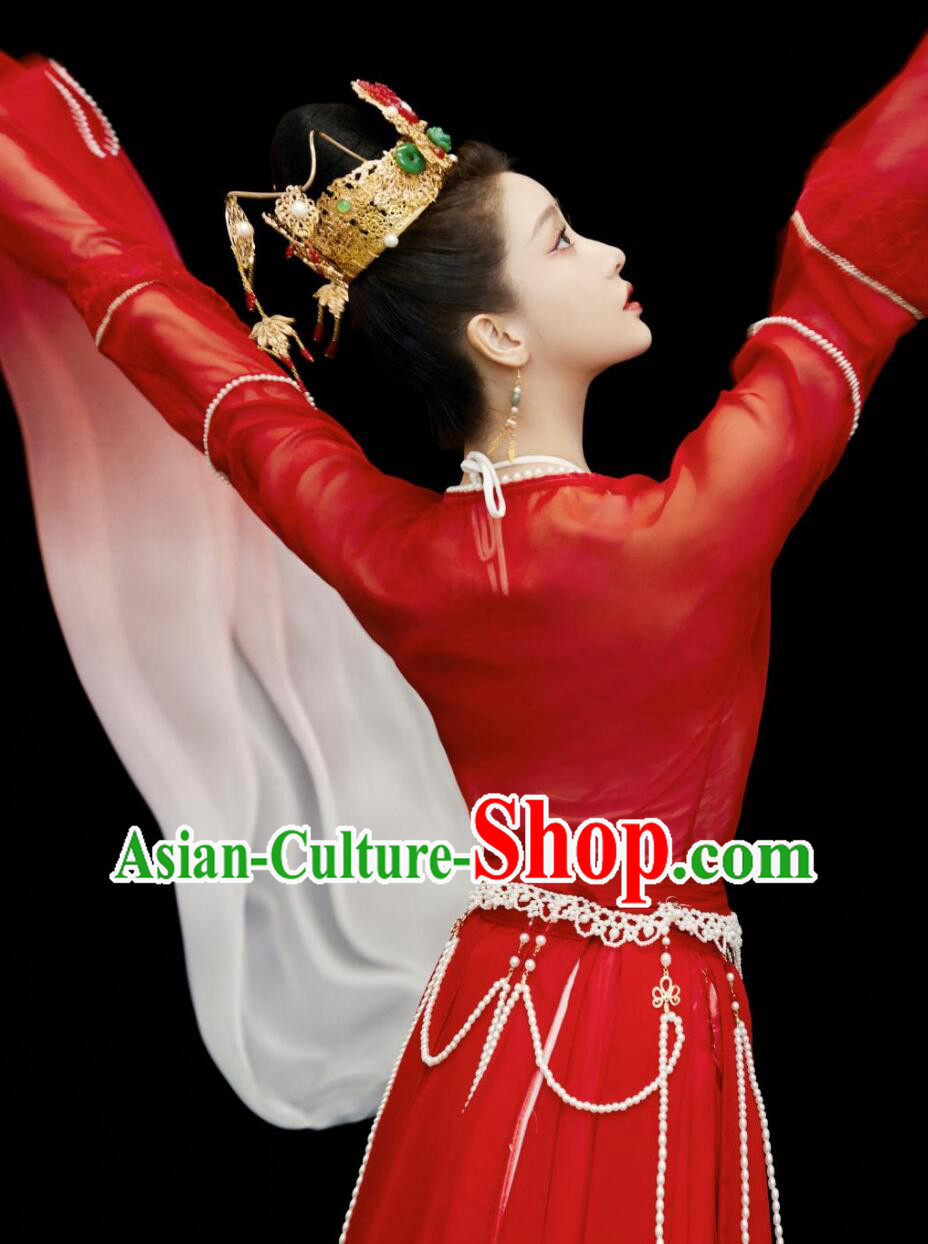 Chinese Classical Dance Costume Traditional Water Sleeve Dance Of The Flying Daggers Red Dress Chinese Classical Dance Costume Traditional Water Sleeve Dance Of The Flying Daggers Red Dress