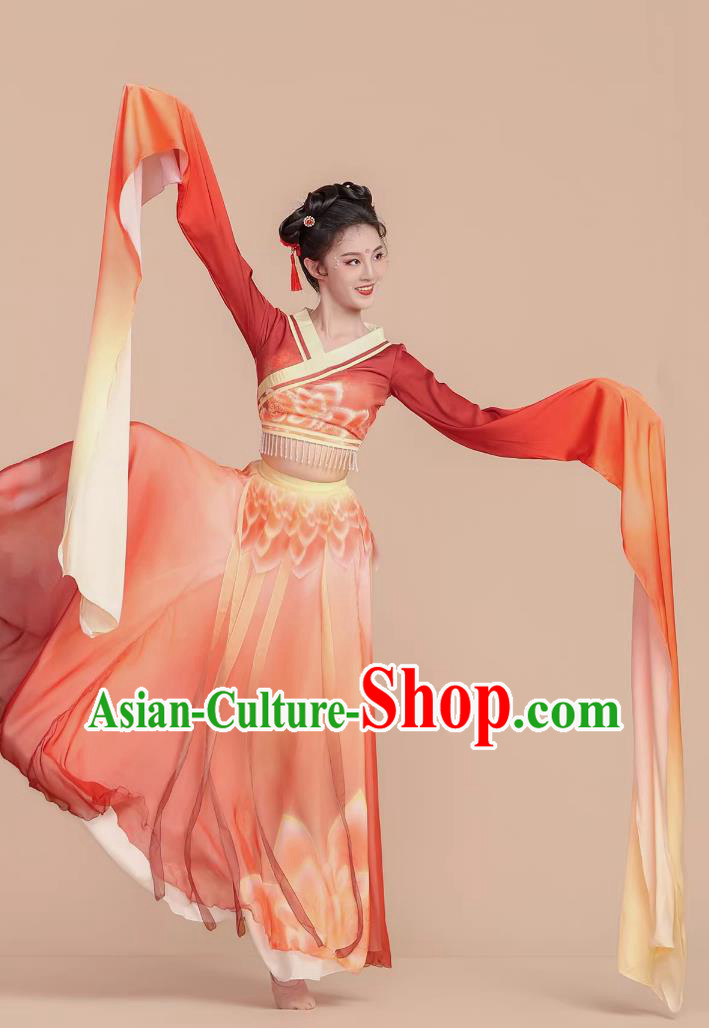 Classical Dance Dress Water Sleeve Dance Performance Costume Han Tang Swinging Sleeve Performance Outfit