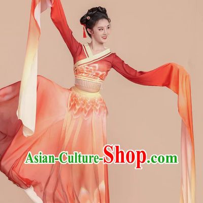 Classical Dance Dress Water Sleeve Dance Performance Costume Han Tang Swinging Sleeve Performance Outfit
