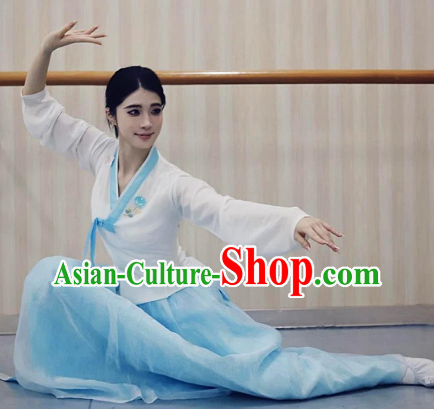 Yanbian Korean Ethnic Dance Performance Costume Chinese Women Blue Practice Dress Set Yanbian Korean Ethnic Dance Performance Costume Chinese Women Blue Practice Dress Set