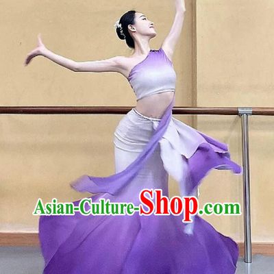 Dai Ethnic Dance Performance Costume Women Purple Gradient Mermaid Skirt Peacock Dance Outfit