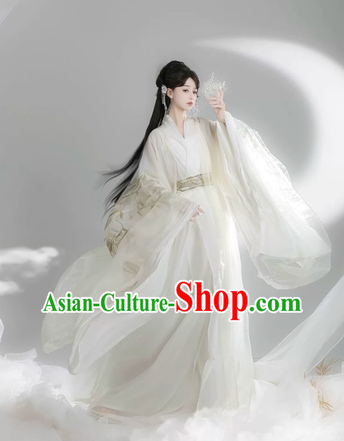 Wei Jin Style Hanfu Ancient Chinese Swordswoman Costume Embroidered Large Sleeves Cape and Robe Complete Set
